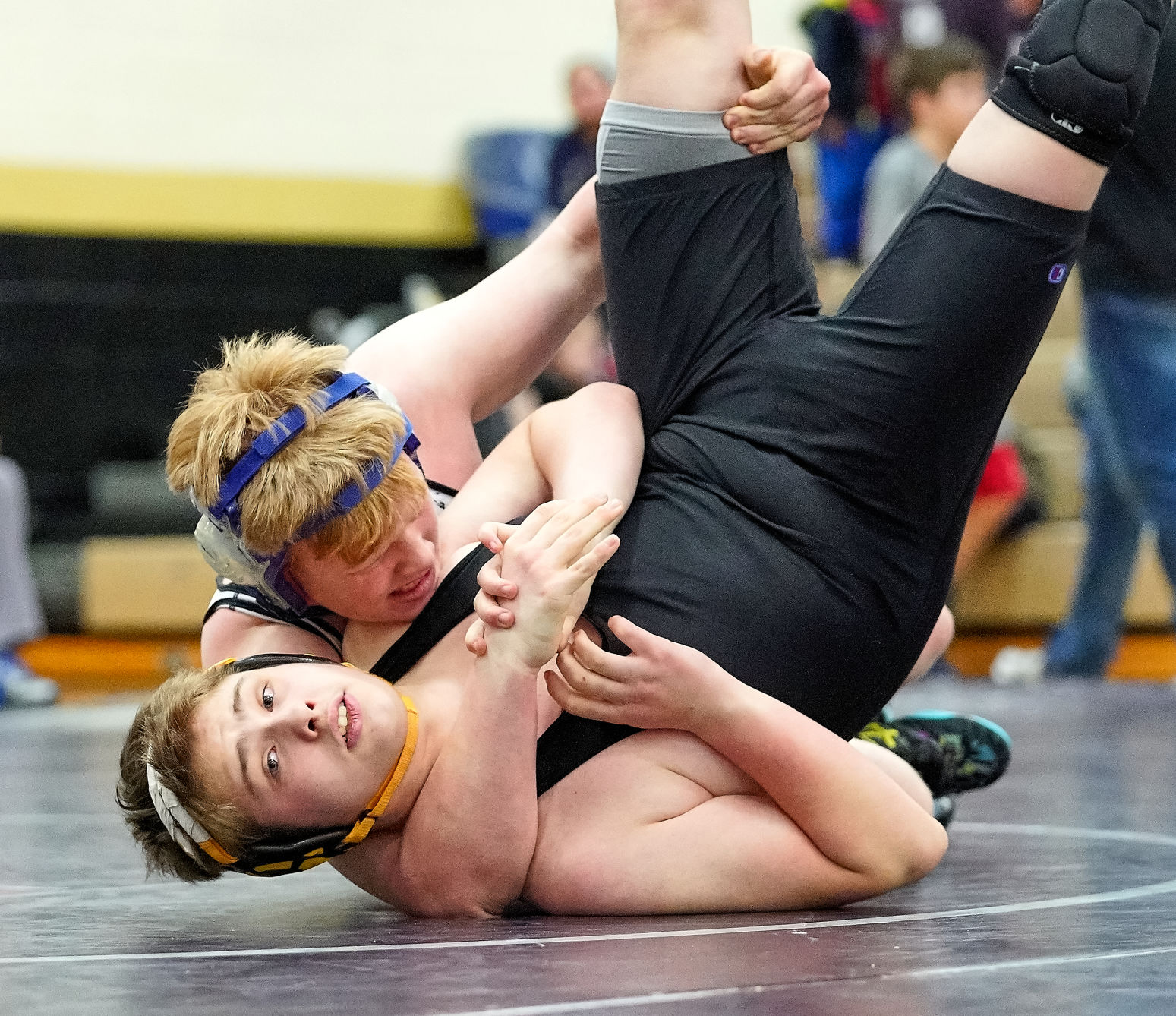FAC WRES 49.jpg